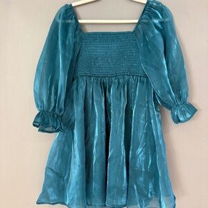 Thirty Thirty Sheen Sheer Puff Long Sleeve Mini Dress Small